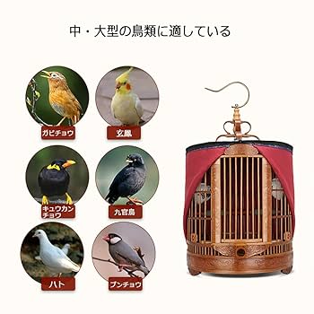 Amazon.co.jp: 鳥かごを彫る手作り竹織りバードケージセット